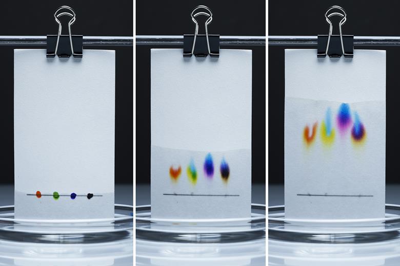Odkryj w sobie detektywa - zidentyfikuj nieznane - chromatografia bibułowa