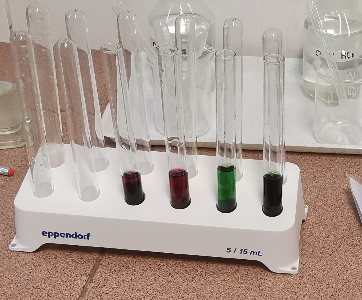 Kolorowy świat roślin - barwniki roślinne