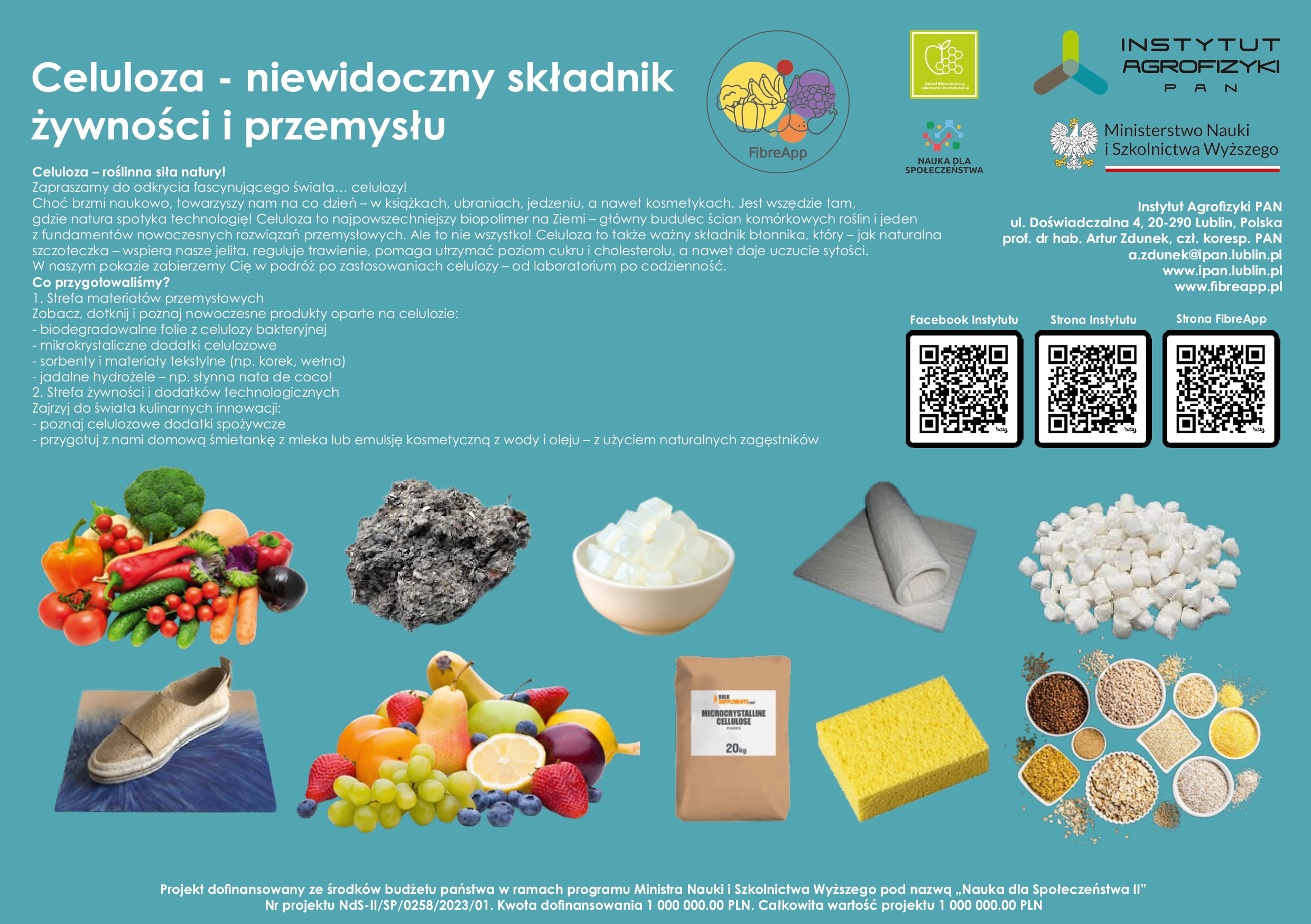 Celuloza – niewidoczny składnik żywności i przemysłu