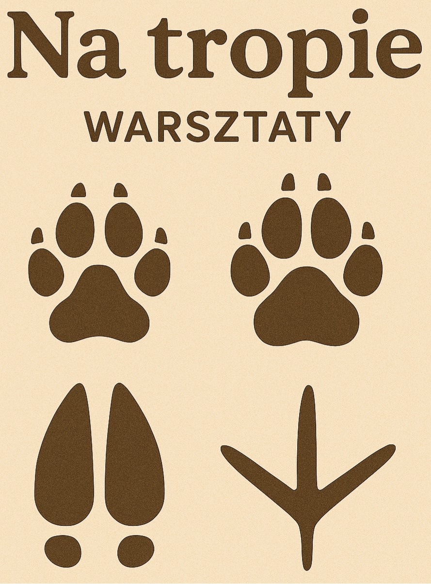 Na tropie dzikiego zwierza