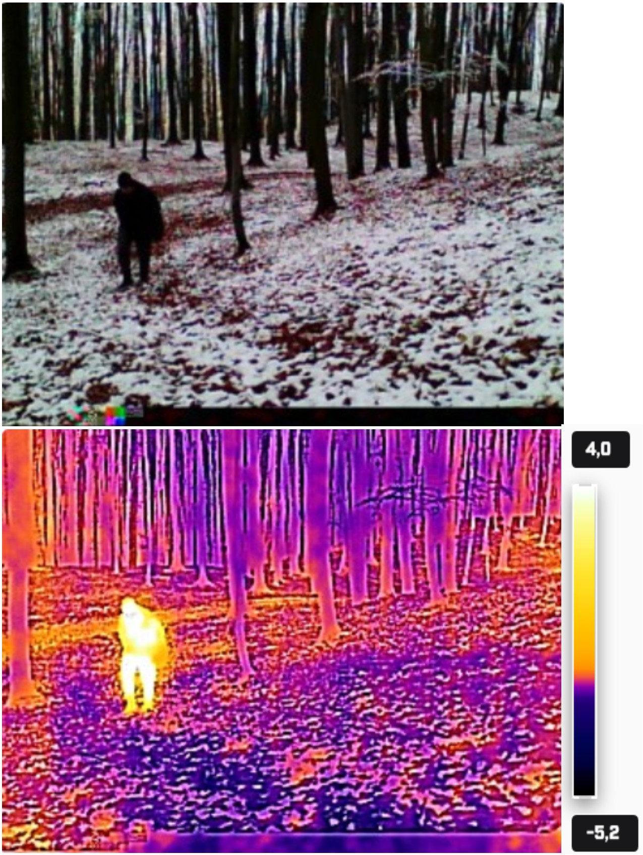 Zobaczyć temperaturę – o korzyściach z użycia kamery termowizyjnej
