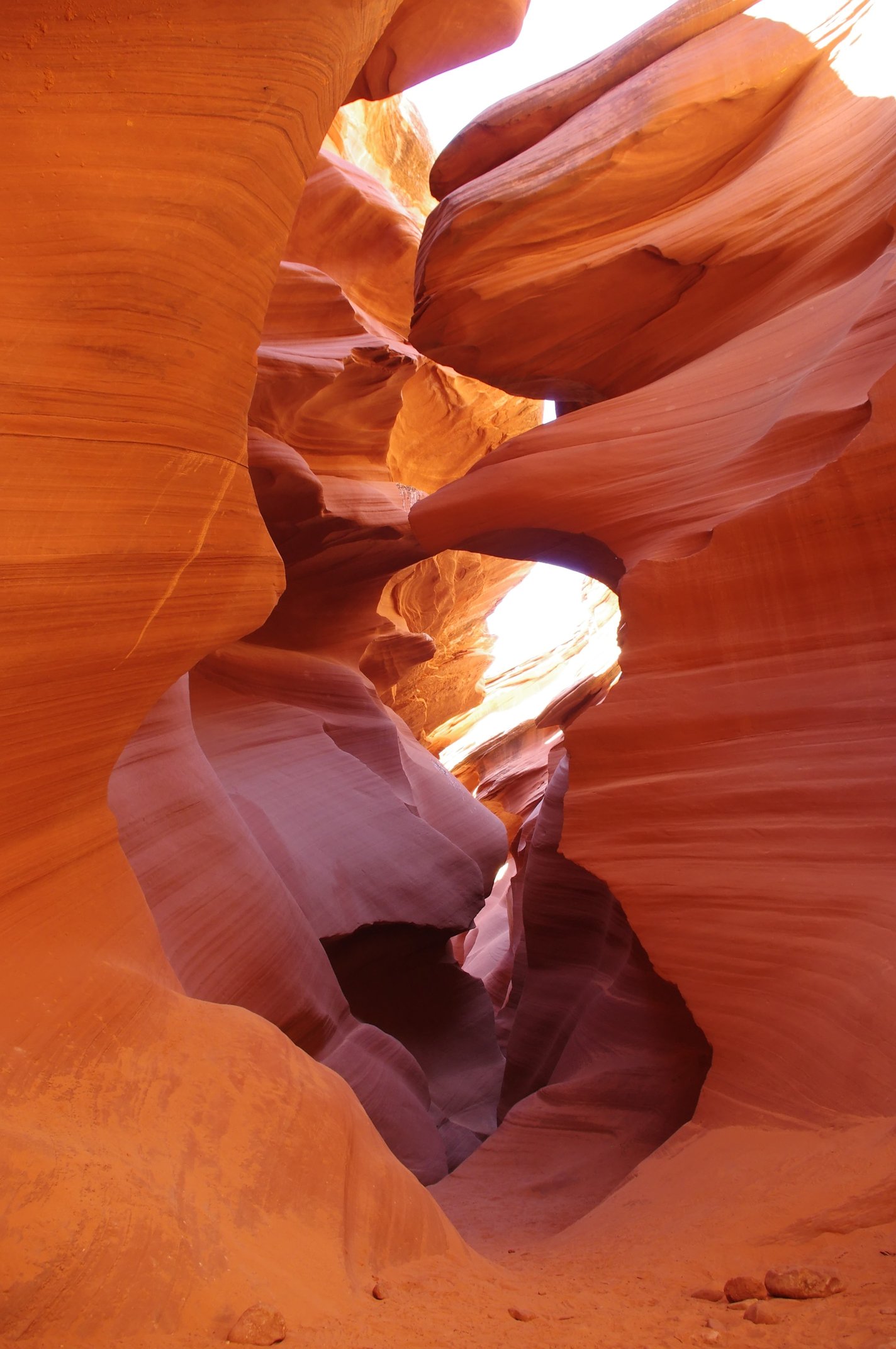 “America the Beautiful” - Nature as the Best Engineer