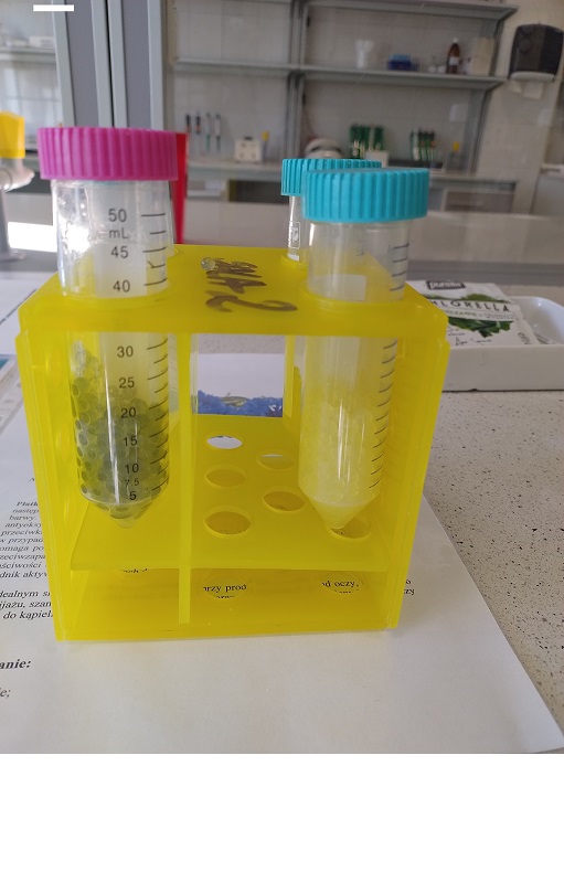 Nanotechnologie oraz ich ogromny potencjał aplikacyjny 2