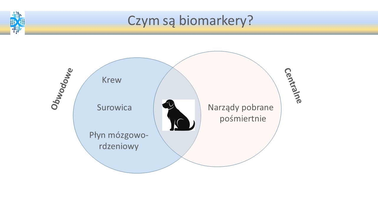 Biomarkery Białkowe