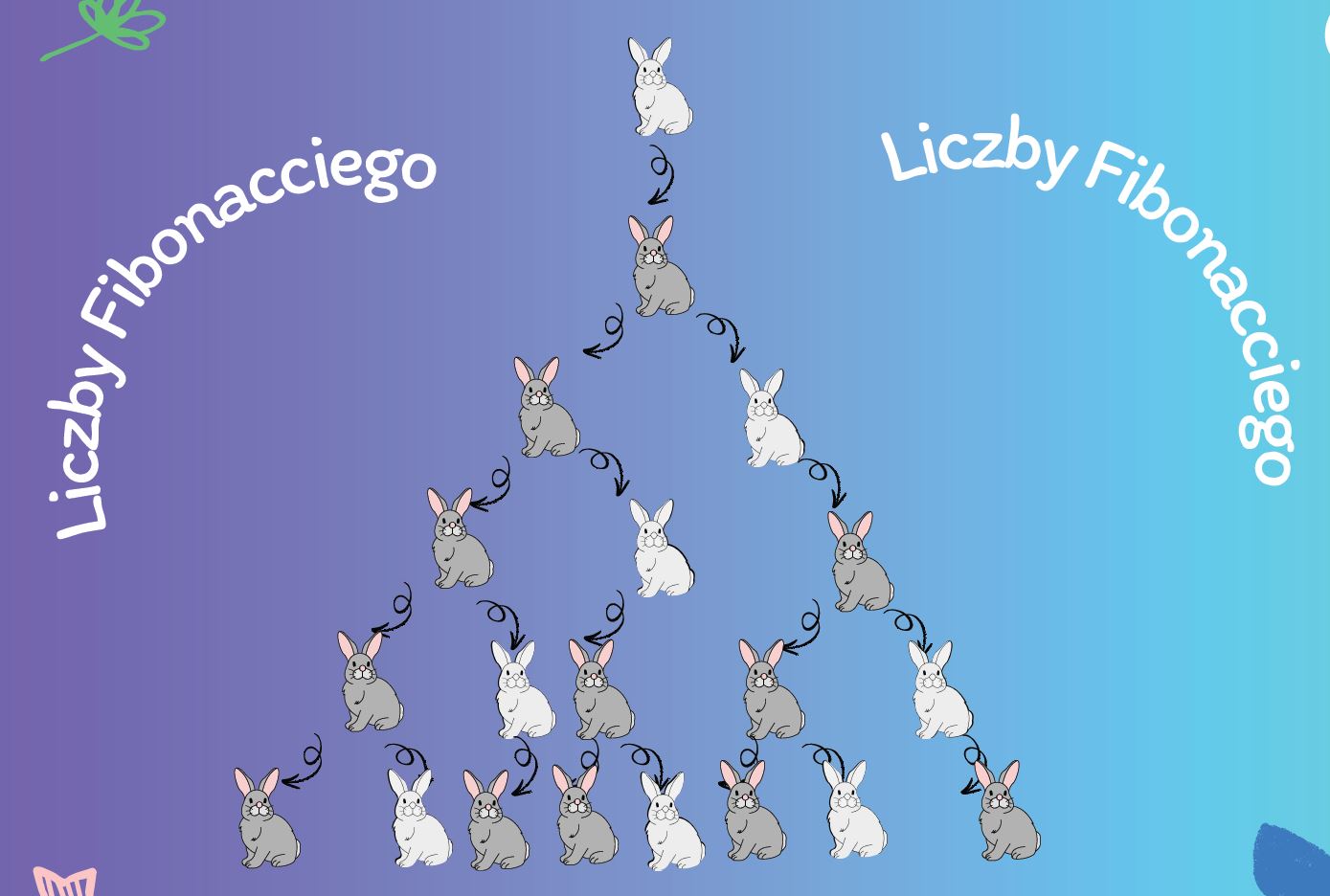 Liczby Fibonacciego czyli sekretny kod natury