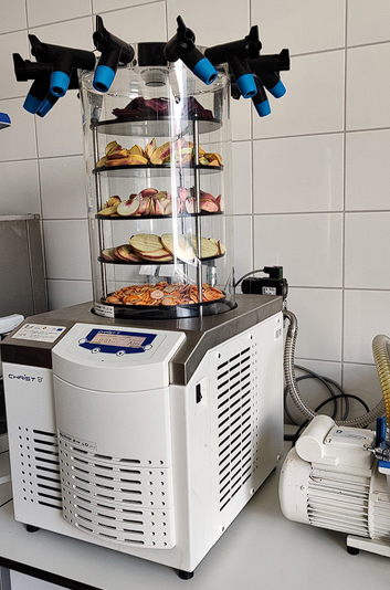 Liofilizacja jako recepta na żywność smaczną i zdrową.