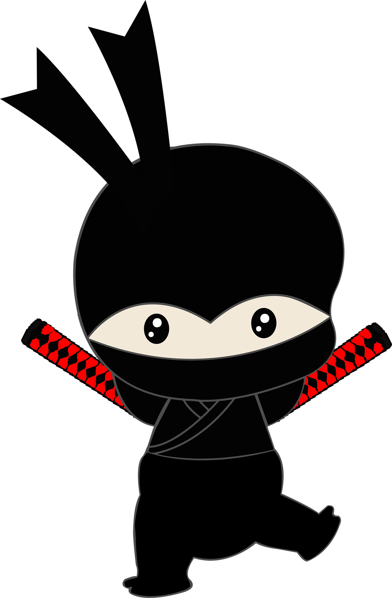 Bądź sprawny jak Ninja