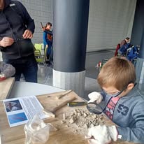 Skamieniałe skarby Lubelszczyzny