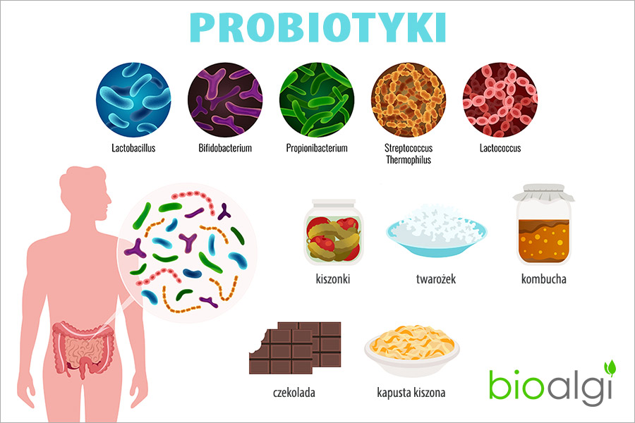 Prozdrowotne bakterie, które żywią i leczą