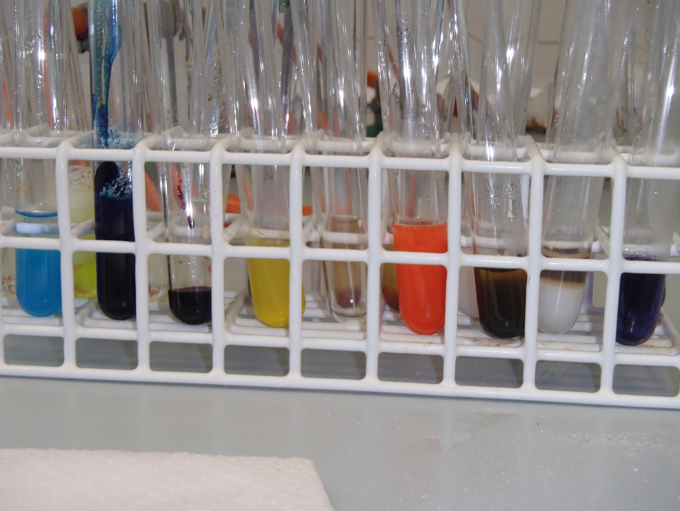 Fascynujący świat chemii organizmach żywych – z czego jesteśmy zbudowani?