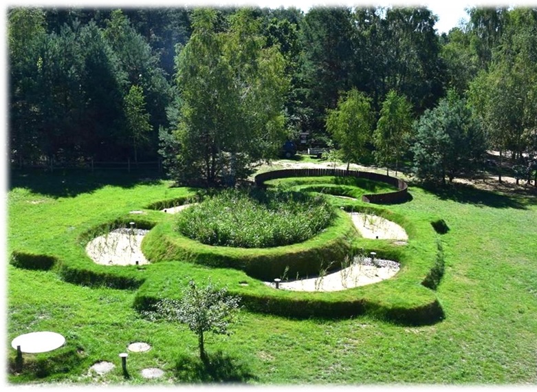 Oczyszczalnie hydrofitowe.