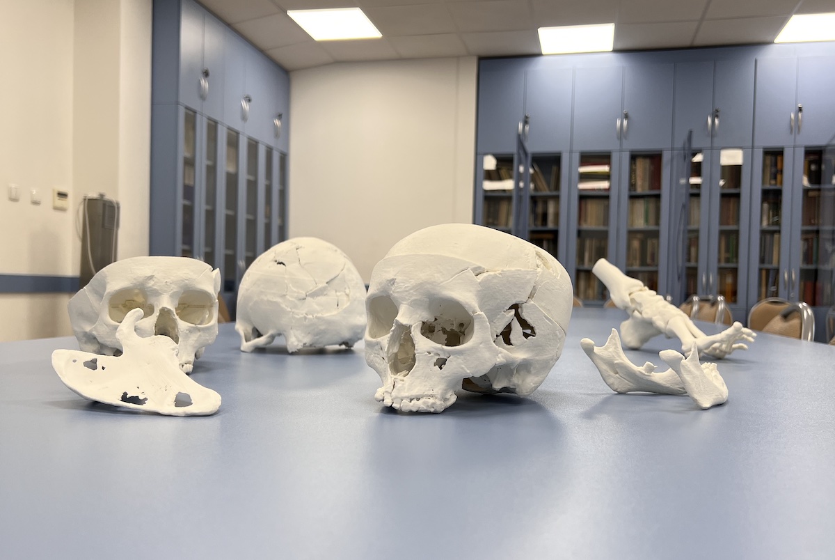 Antropologia sądowa - co kryją kości