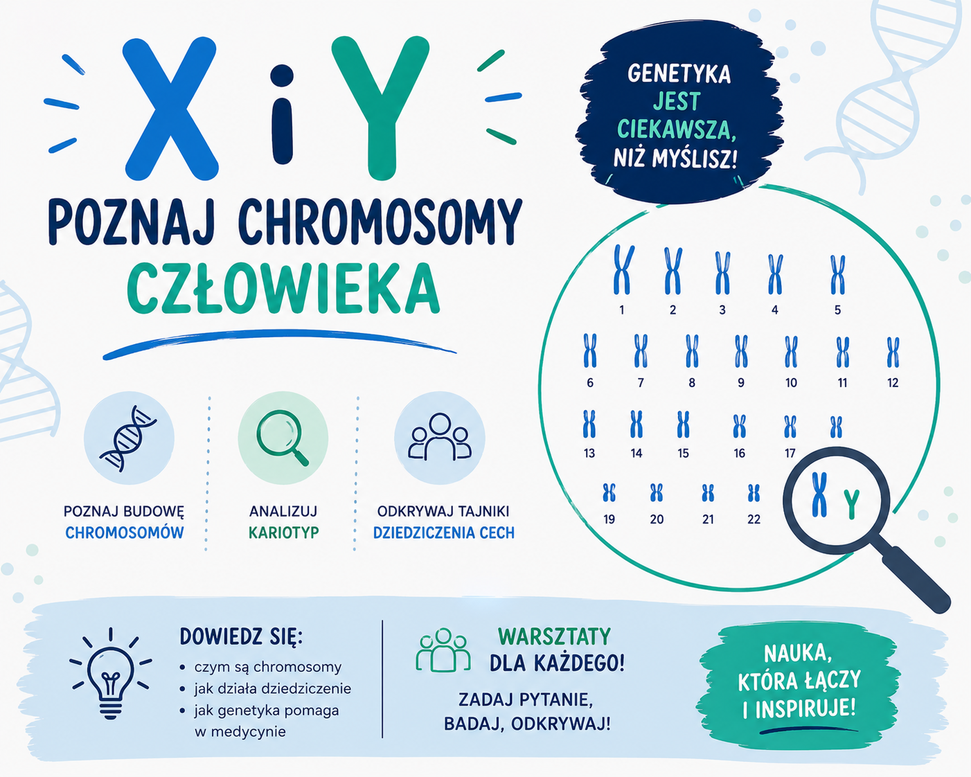 X i Y – poznaj chromosomy człowieka