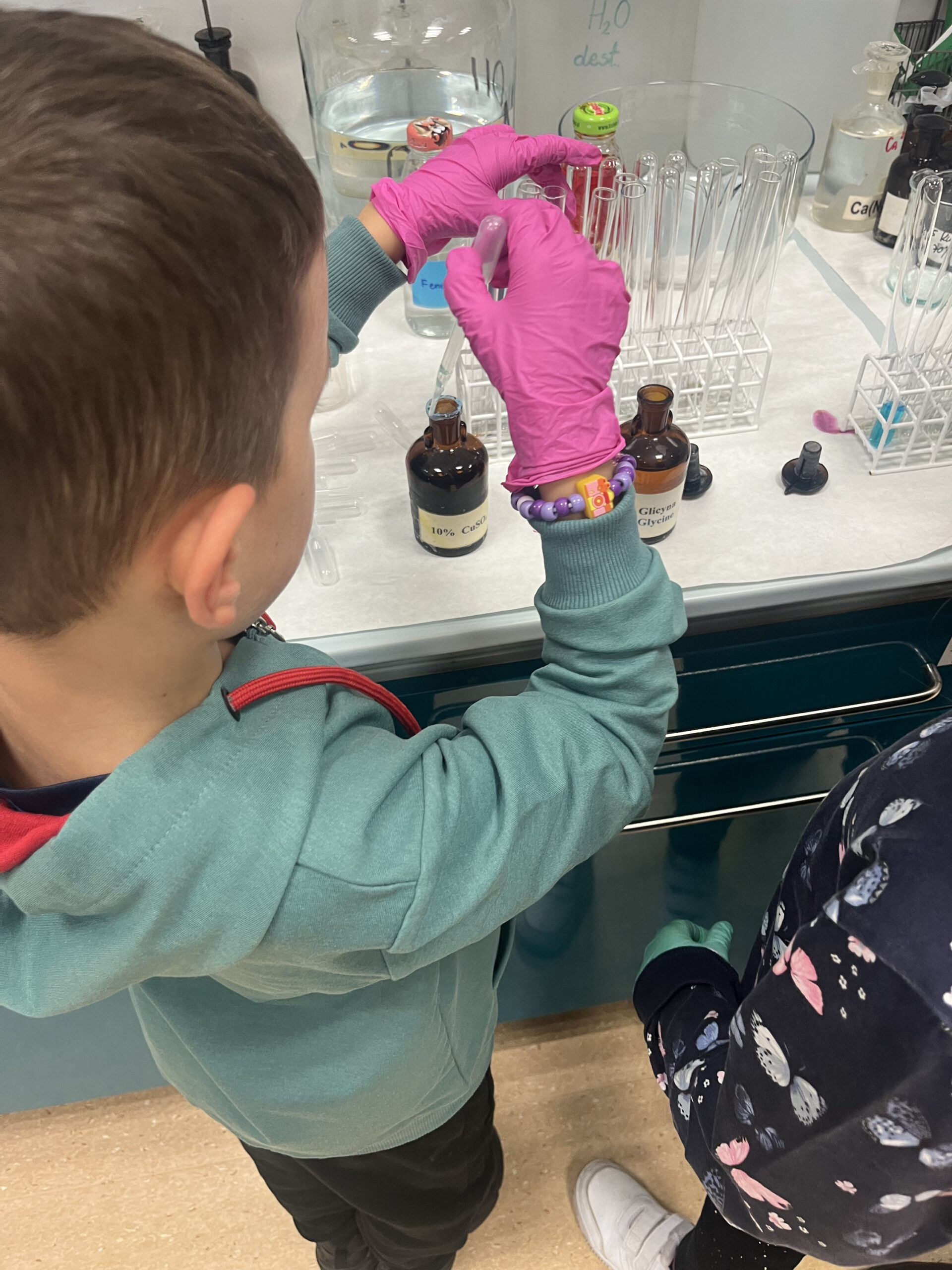 Fascynujący świat chemii organizmów żywych – z czego jesteśmy zbudowani?