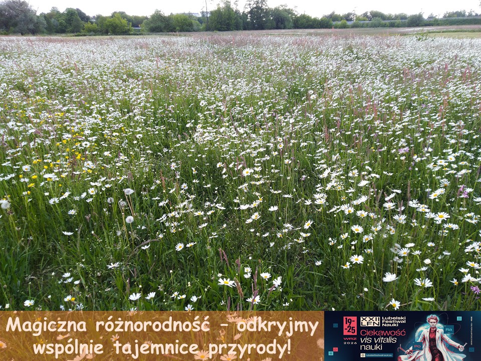 Magiczna różnorodność – odkryjmy wspólnie tajemnice przyrody!