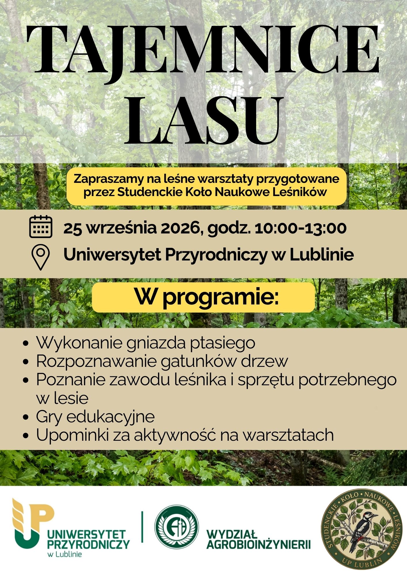 Tajemnice Lasu – odkrywamy sekrety leśnej przyrody