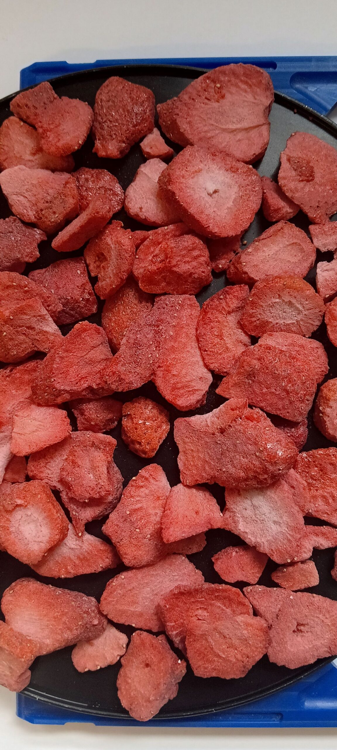 Żywność, które przetrwa prawie wszystko- liofilizacja jako klucz do żywności długoterminowej, od ekspedycji kosmicznych po sytuacje kryzysowe