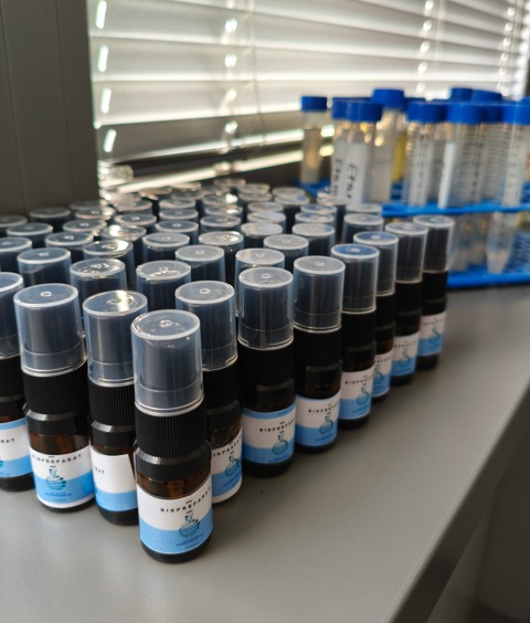 Sekretna broń roślin – warsztaty z przygotowania biopreparatów