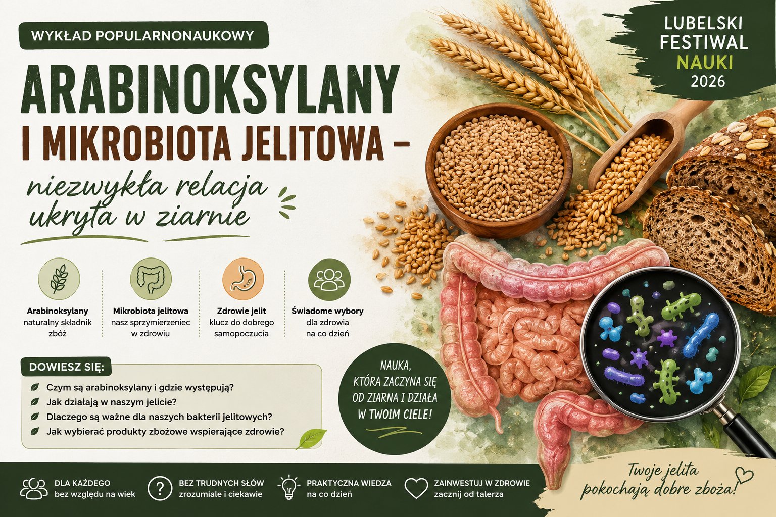 Arabinoksylany i mikrobiota jelitowa – niezwykła relacja ukryta w ziarnie