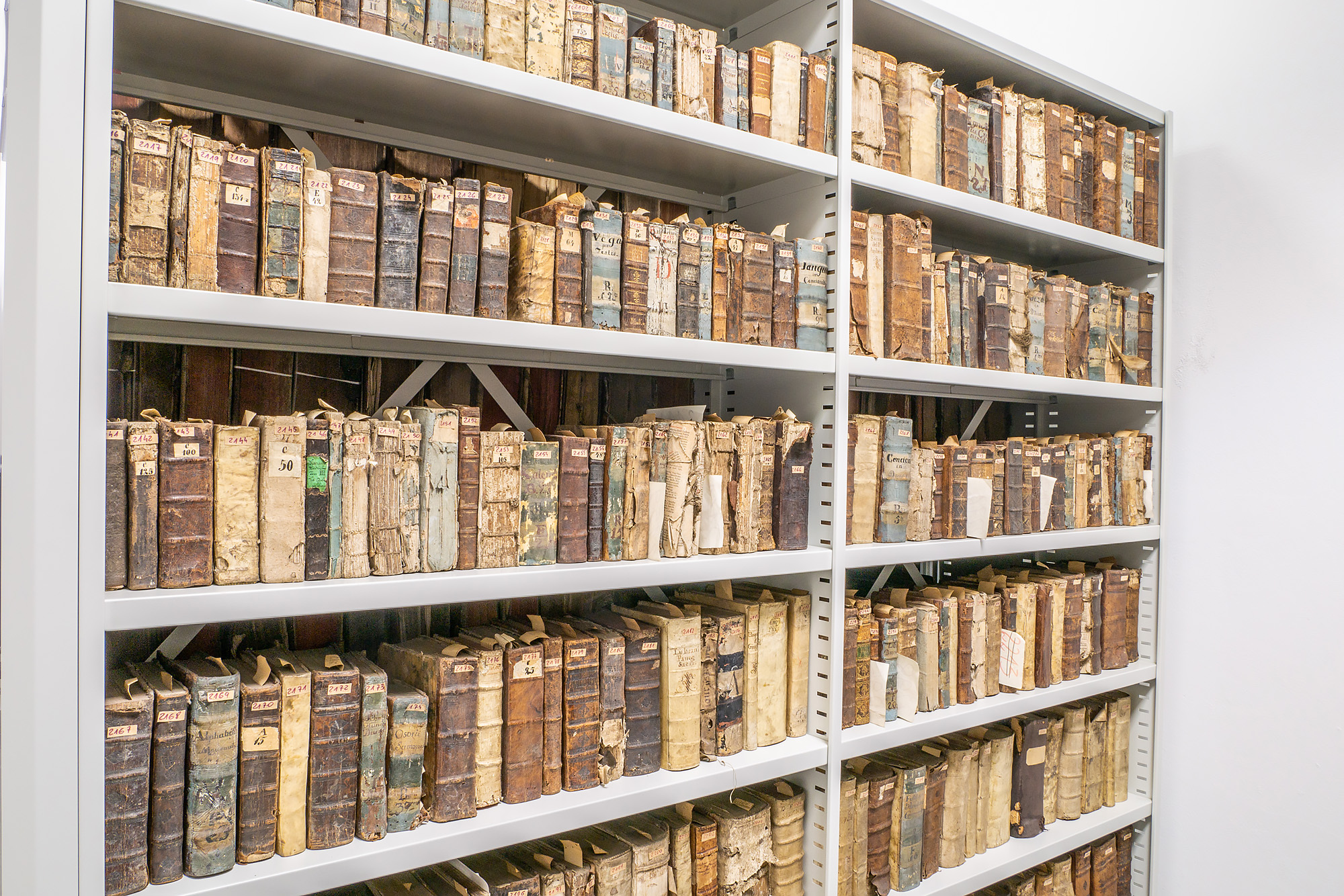 PAPIER, KTÓRY PAMIĘTA. Ślady Akademii Zamojskiej w zbiorach dawnej biblioteki kolegiackiej